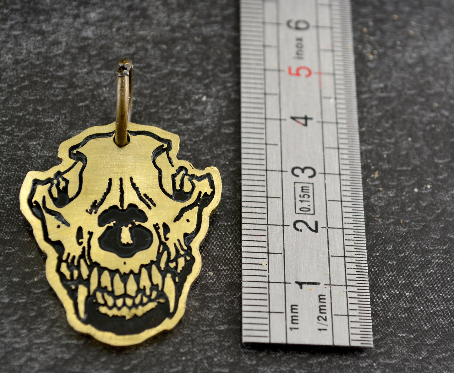 Placa mascota calavera de lobo, Nombre y teléfono grabados