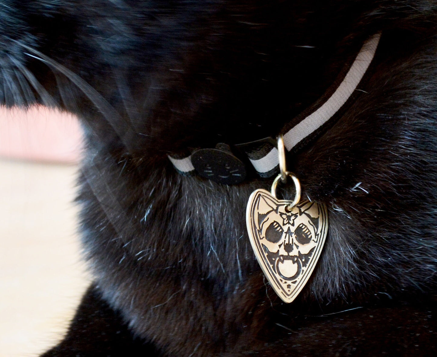 Chapa identificativa gato con forma de Ouija, Chapa personalizada mascota grabada a mano con nombre y teléfonos
