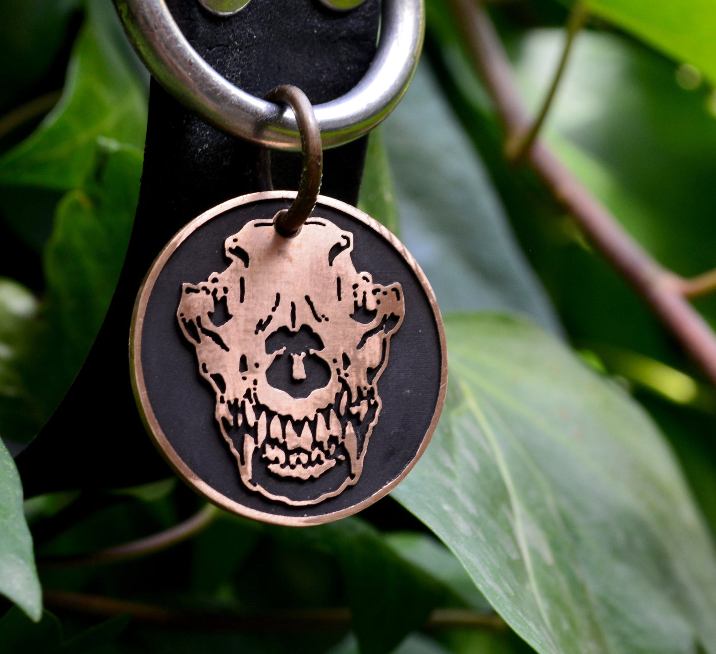 Chapa redonda con calavera de lobo, Nombre y teléfono grabados