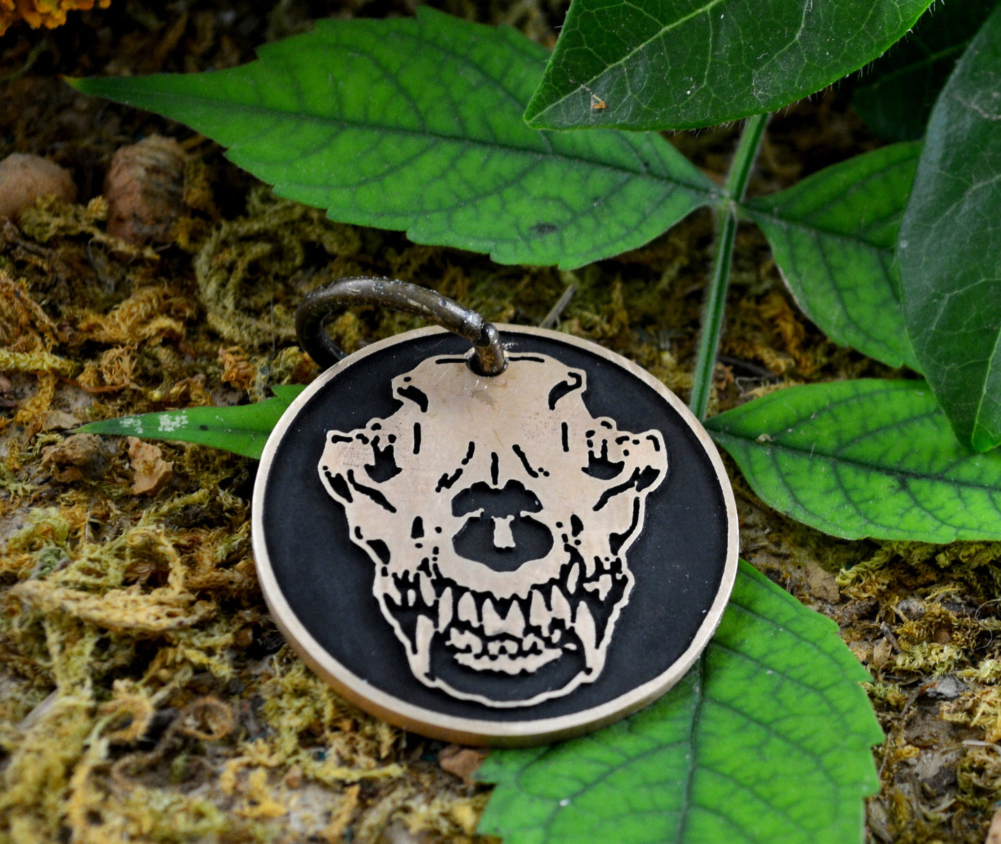 Chapa redonda con calavera de lobo, Nombre y teléfono grabados