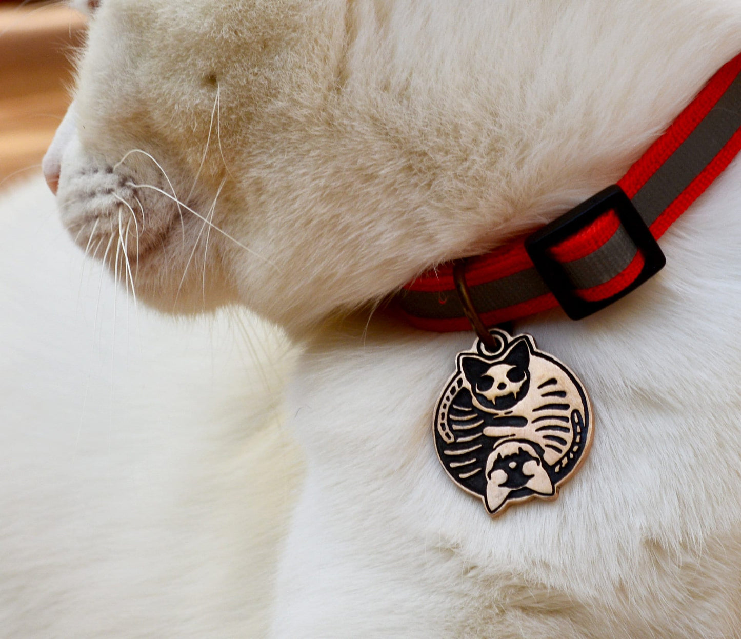 Chapa Ying Yang esqueletos de gatos personalizada con nombre y teléfono