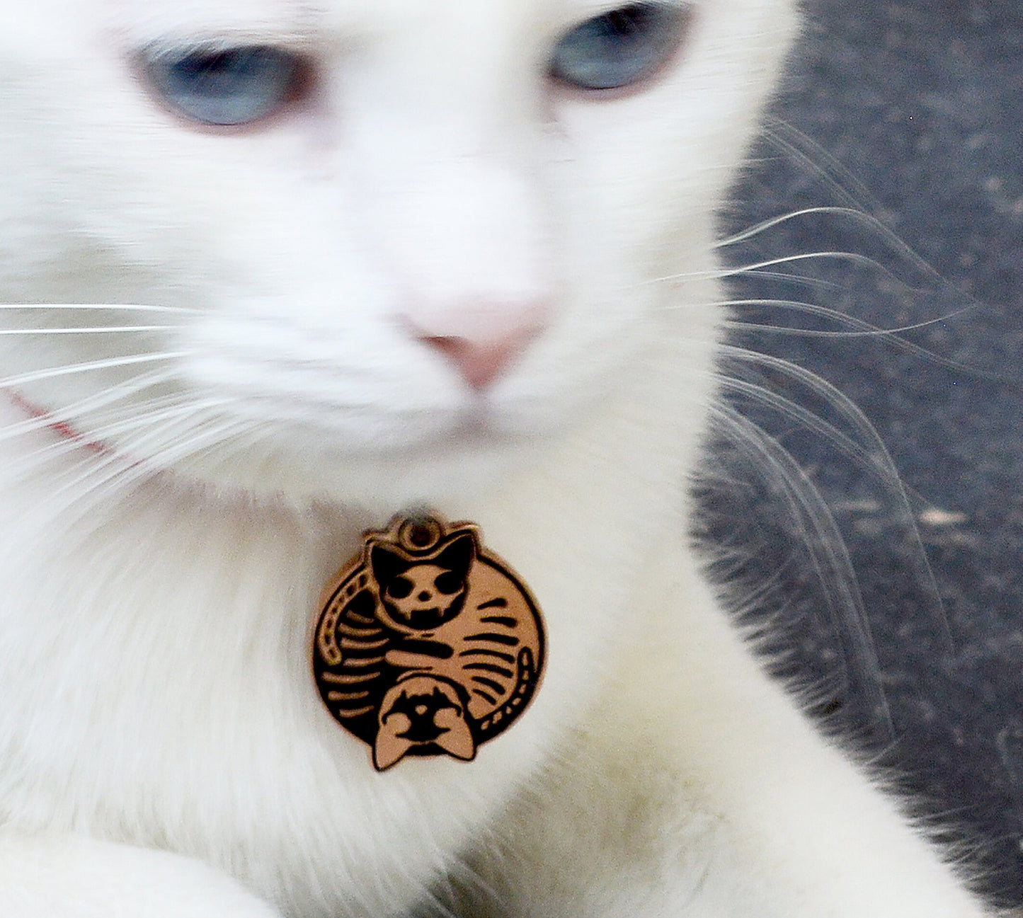 Chapa Ying Yang esqueletos de gatos personalizada con nombre y teléfono