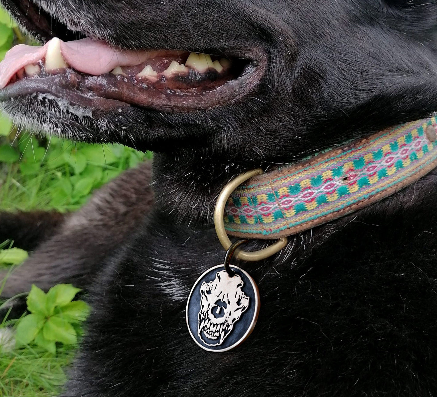 Chapa redonda con calavera de lobo, Nombre y teléfono grabados