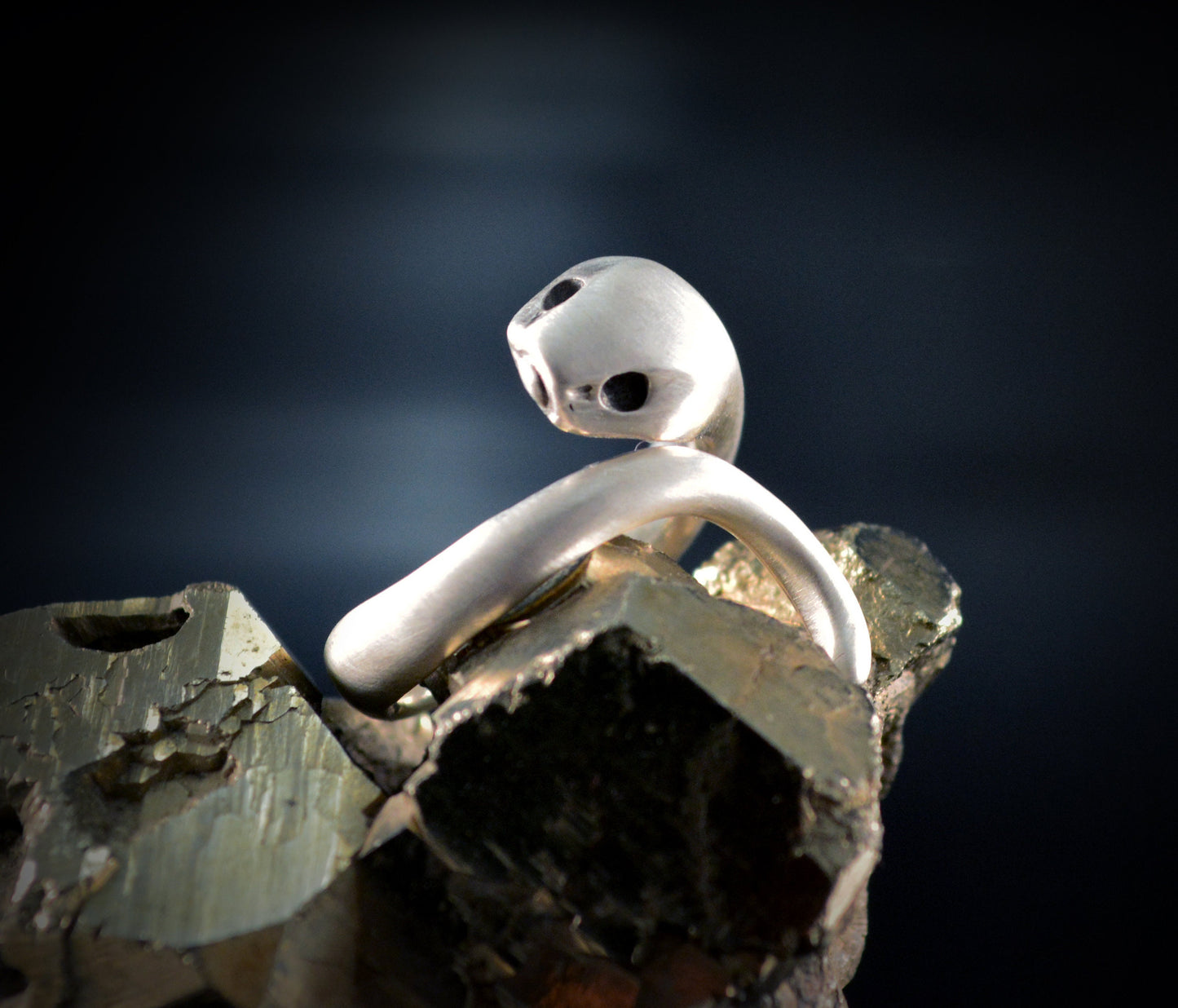 Anillo serpiente de plata de ley maciza, Anillo Ouroboros - D´Cast