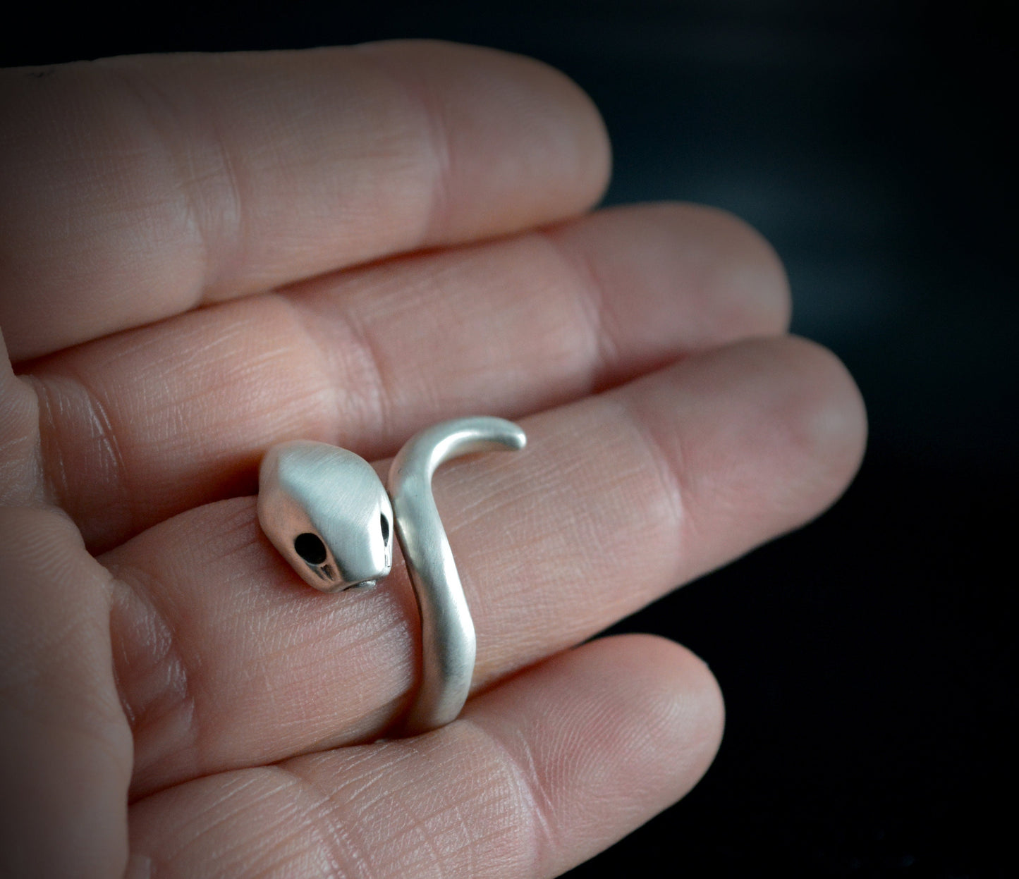 Anillo serpiente de plata de ley maciza, Anillo Ouroboros - D´Cast