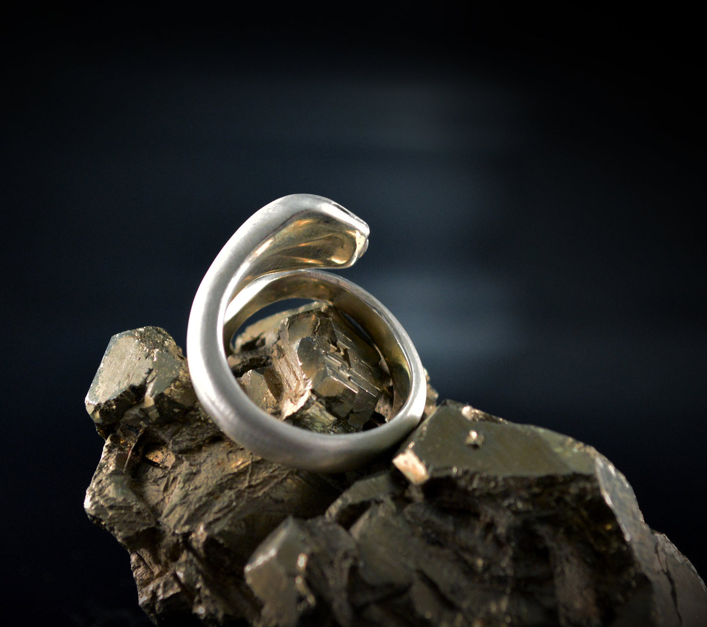Anillo serpiente de plata de ley maciza, Anillo Ouroboros - D´Cast