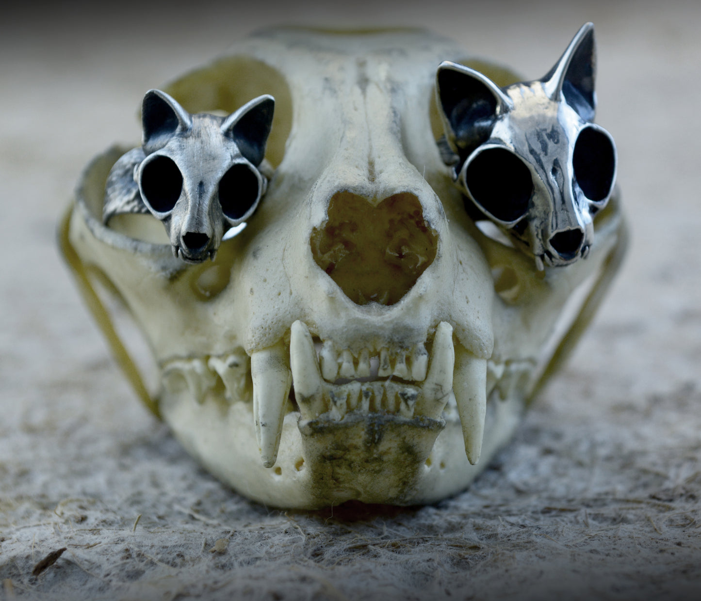 Anillo cráneo de gato pequeño, Cráneo felino pequeño hecho a mano en plata de ley