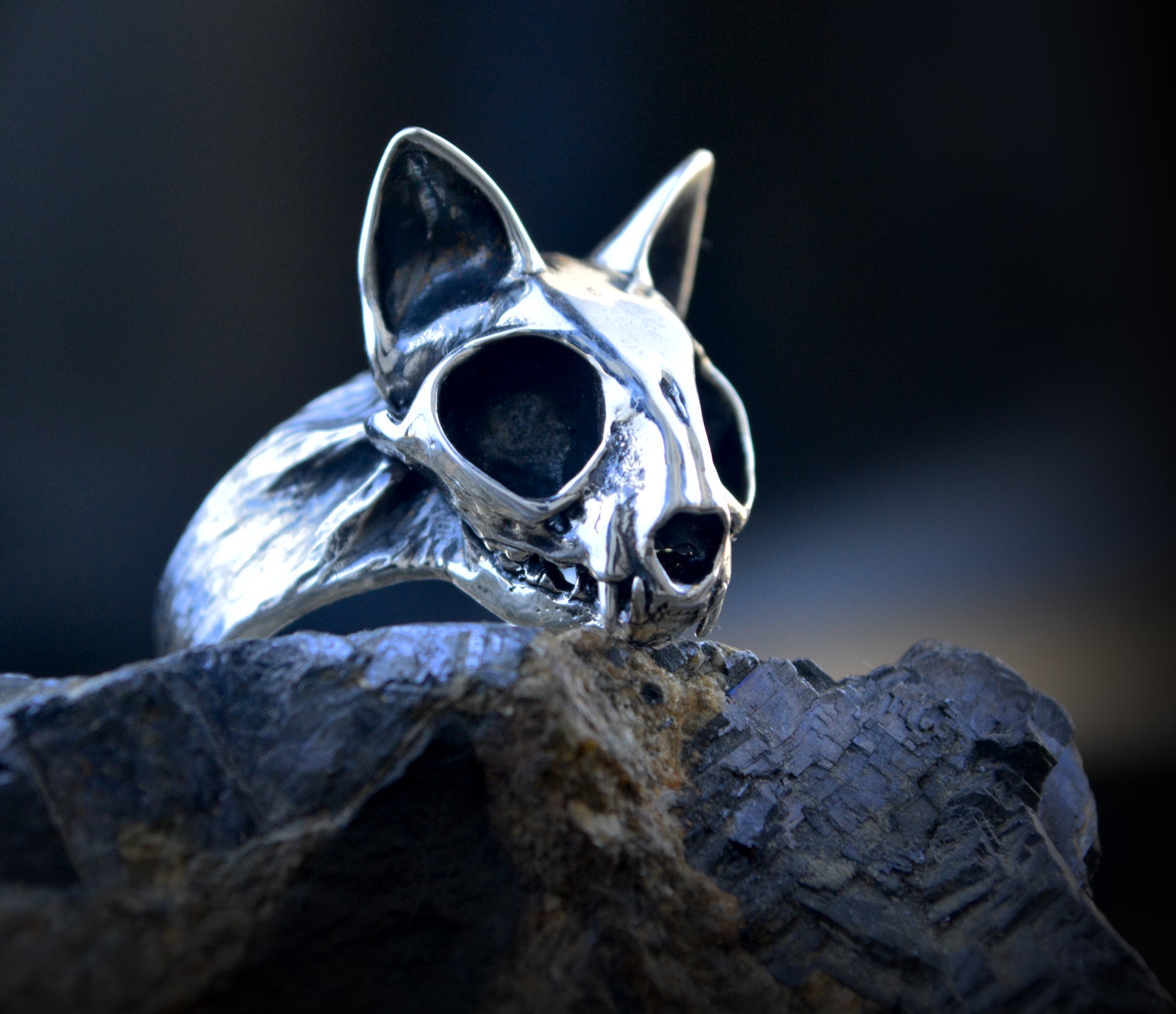 Perro Anillo De Gato Anillo Cráneo De Gato, Cráneo Felino Hecho A