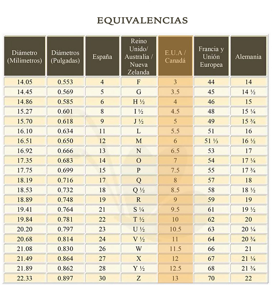 ONI – Guardián de la Sombra | Anillo en Plata de Ley 925 Esculpido a Mano - D´Cast