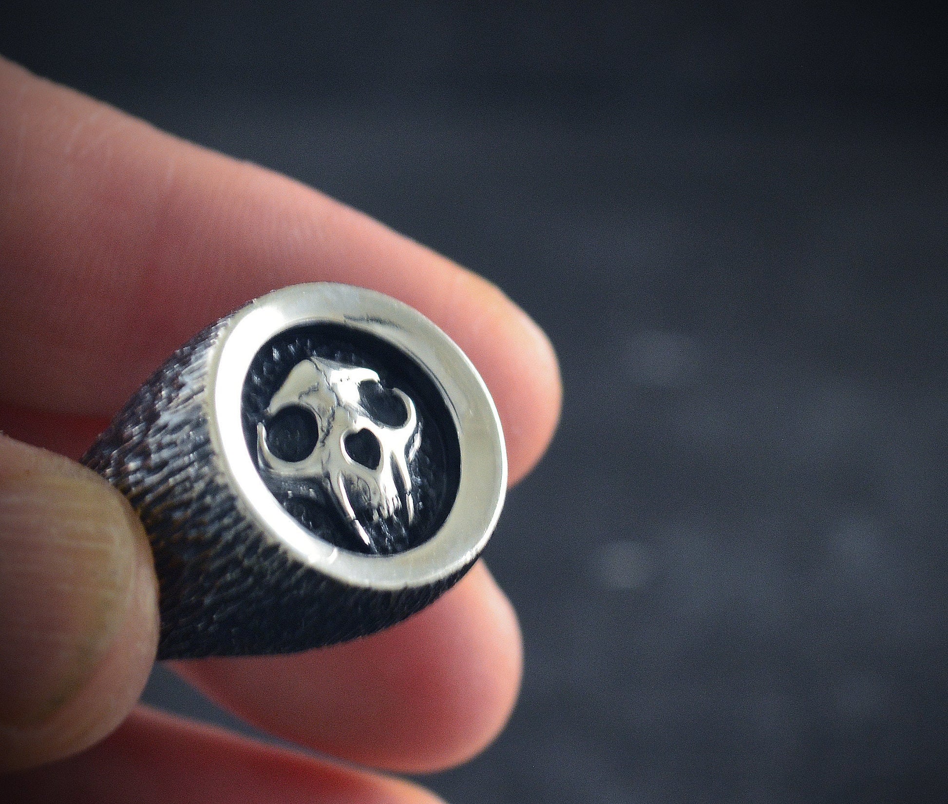 Anillo sello con calavera de gato en plata de ley - D´Cast