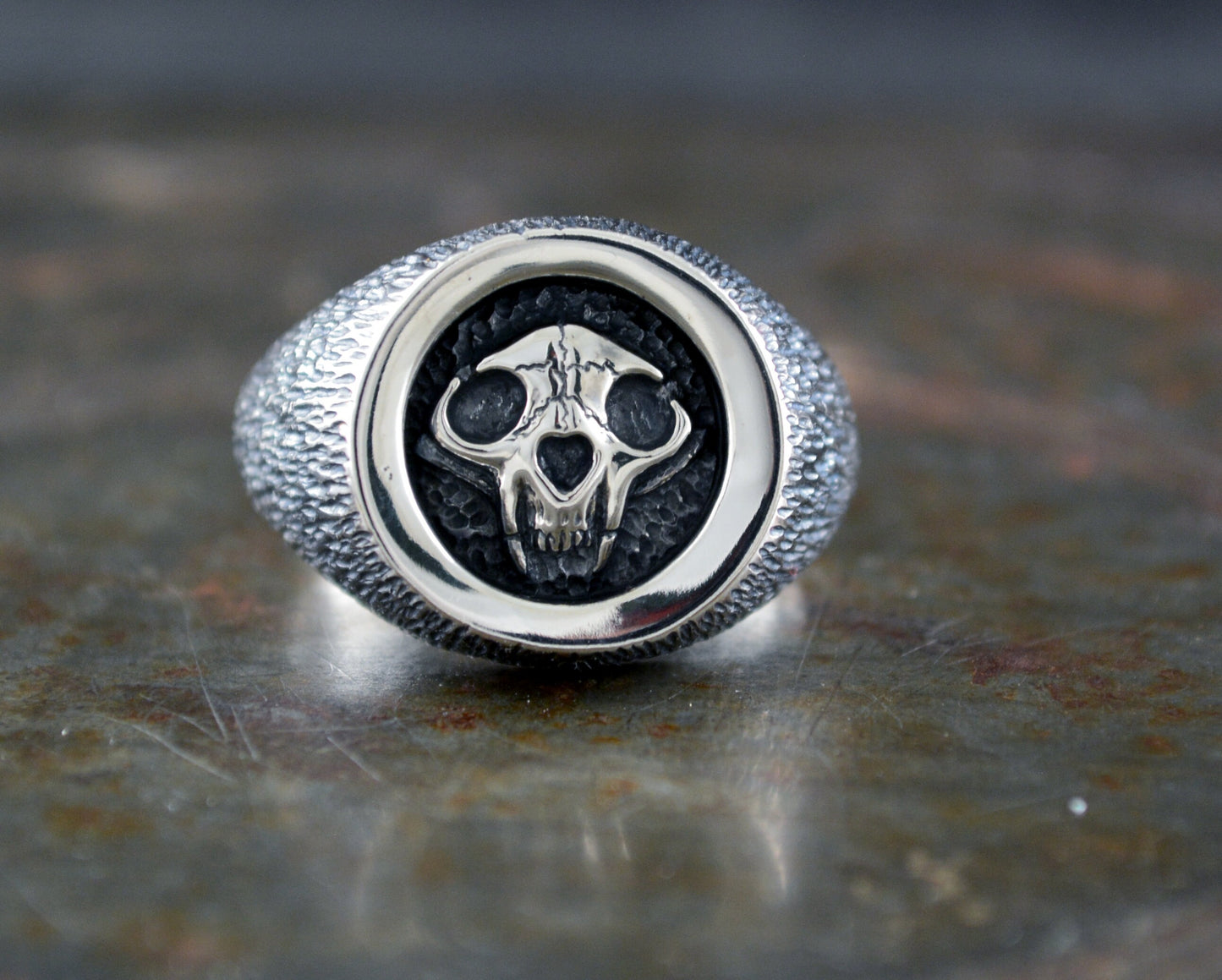 Anillo sello con calavera de gato en plata de ley - D´Cast