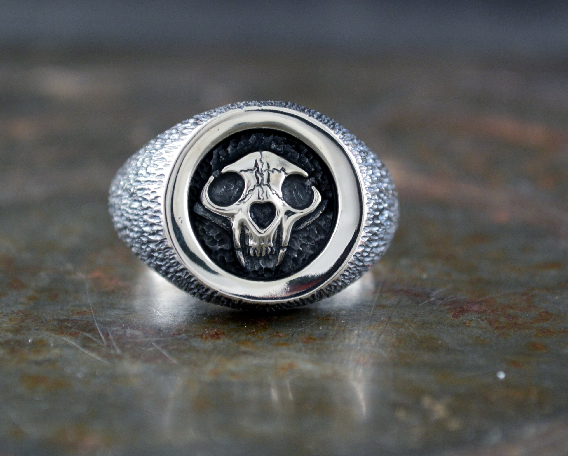Anillo sello con calavera de gato en plata de ley - D´Cast