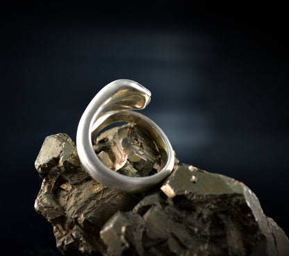 Anillo serpiente de plata de ley maciza, Anillo Ouroboros - D´Cast