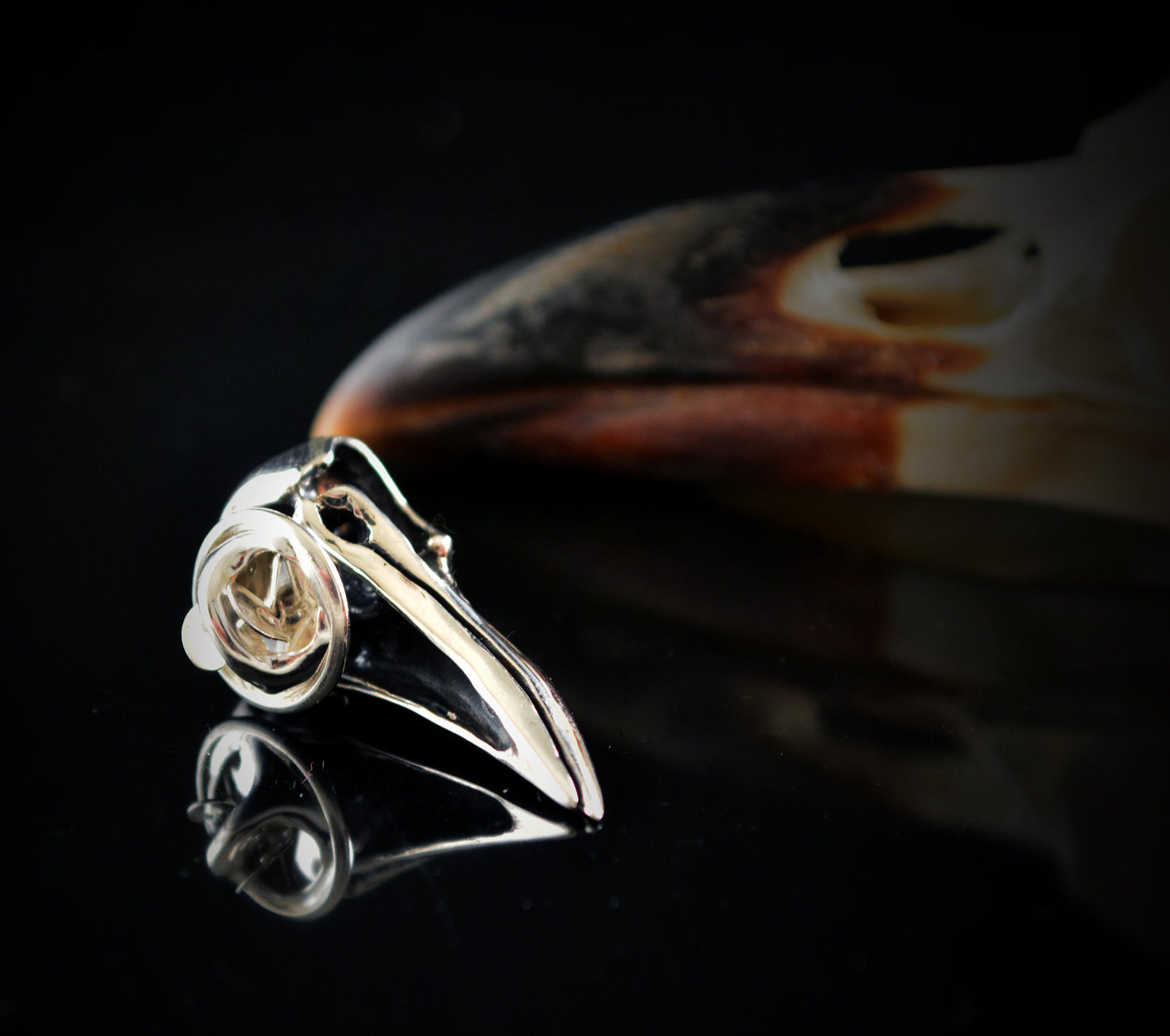 Pin corbata plata cráneo cuervo, Broche vikingo cuervo plata maciza, Broche para hombres